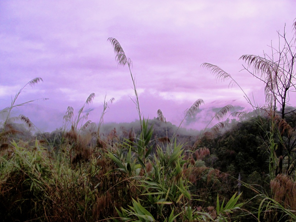 558_večer u silnice